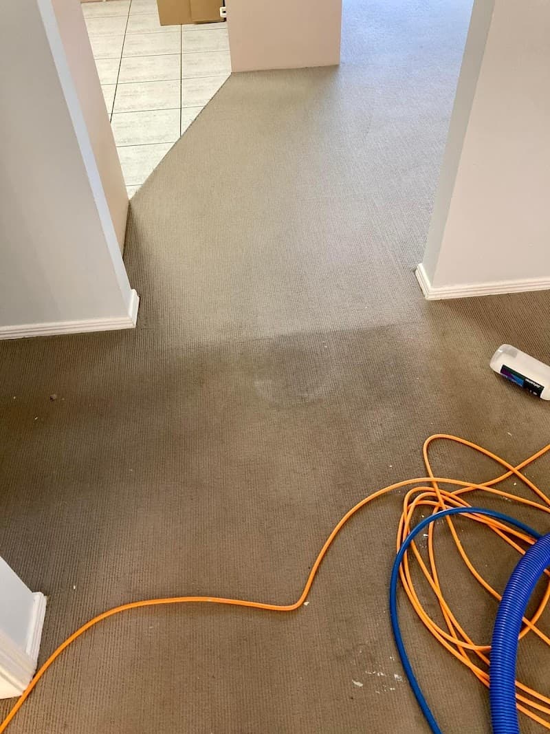 Clean Carpet Co. carpet cleaning work in Wadalba