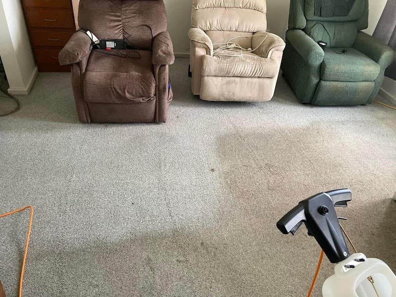Clean Carpet Co. carpet cleaning work in Wadalba