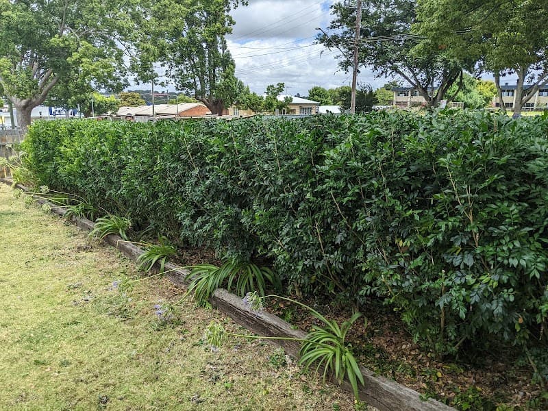 Clean Cut Lawns Toowoomba landscaping work in Toowoomba City