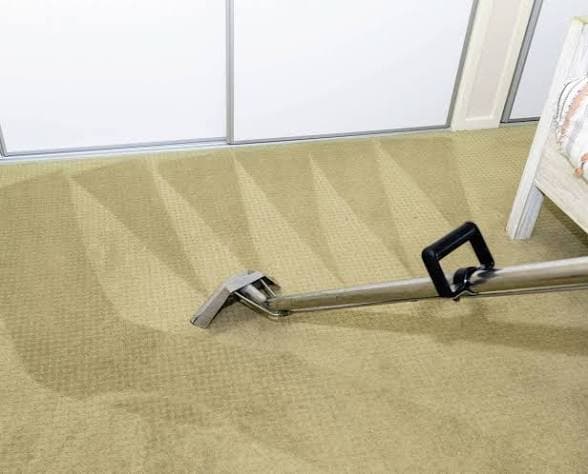 Clean Vista Cleaning Services carpet cleaning work in Truganina