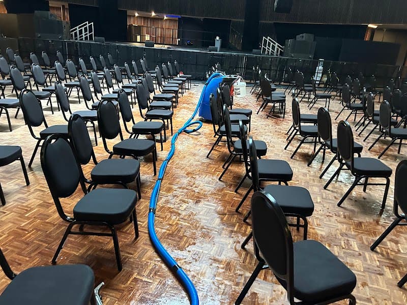 Clean+Dry Carpet and Tile Cleaning carpet cleaning work in Milsons Point