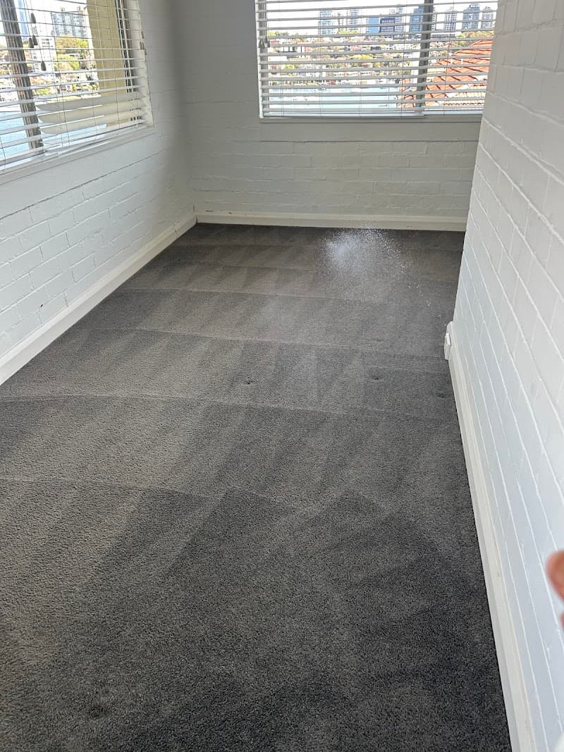 Clean+Dry Carpet and Tile Cleaning carpet cleaning work in Milsons Point