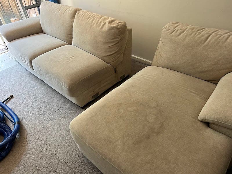 Clean+Dry Carpet and Tile Cleaning carpet cleaning work in Milsons Point