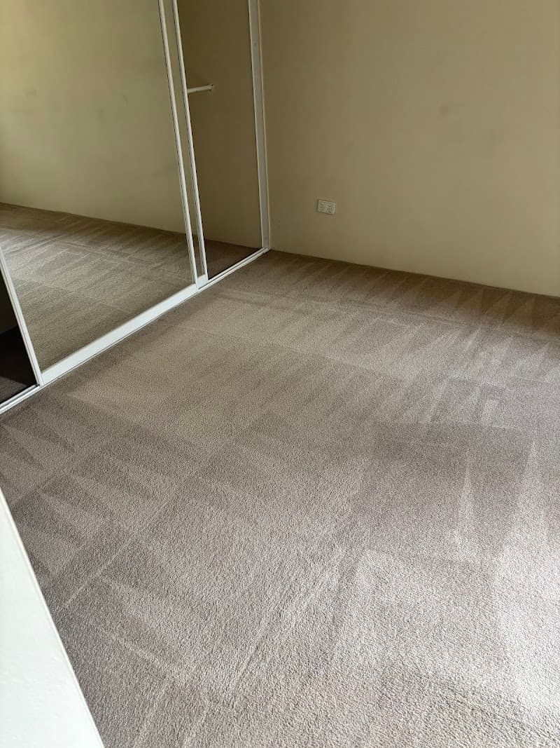 Clean+Dry Carpet and Tile Cleaning carpet cleaning work in Milsons Point
