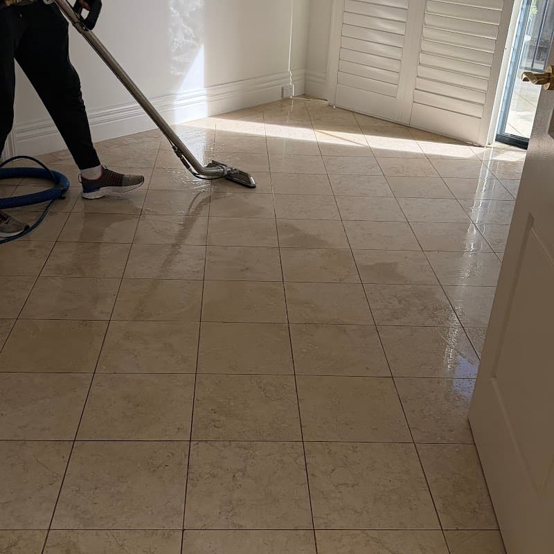 Clean+Dry Carpet and Tile Cleaning carpet cleaning work in Milsons Point