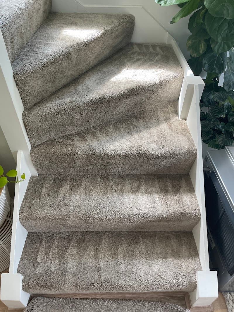 Clean+Dry Carpet and Tile Cleaning carpet cleaning work in Milsons Point
