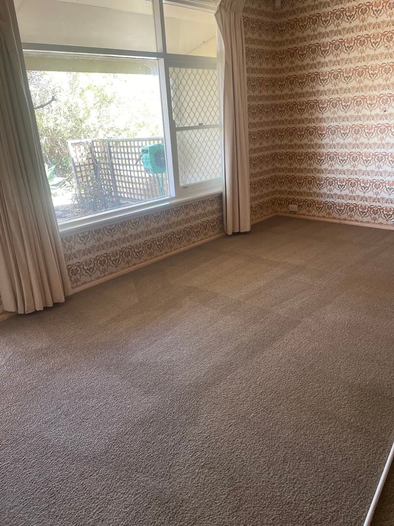 Cleanetic Cleaning Services carpet cleaning work in Karawara