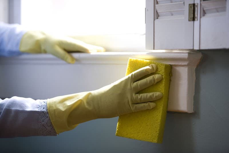 Cleanetic Cleaning Services carpet cleaning work in Karawara
