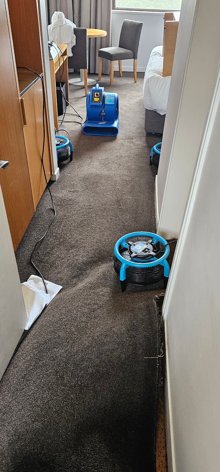 Cleantec Carpet Cleaning carpet cleaning work in North Sydney