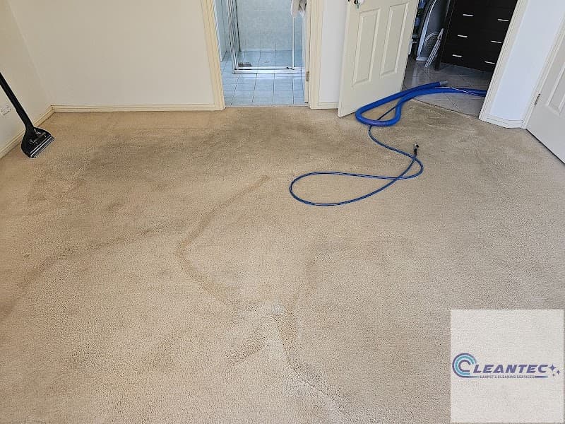 Cleantec Carpet Cleaning carpet cleaning work in North Sydney