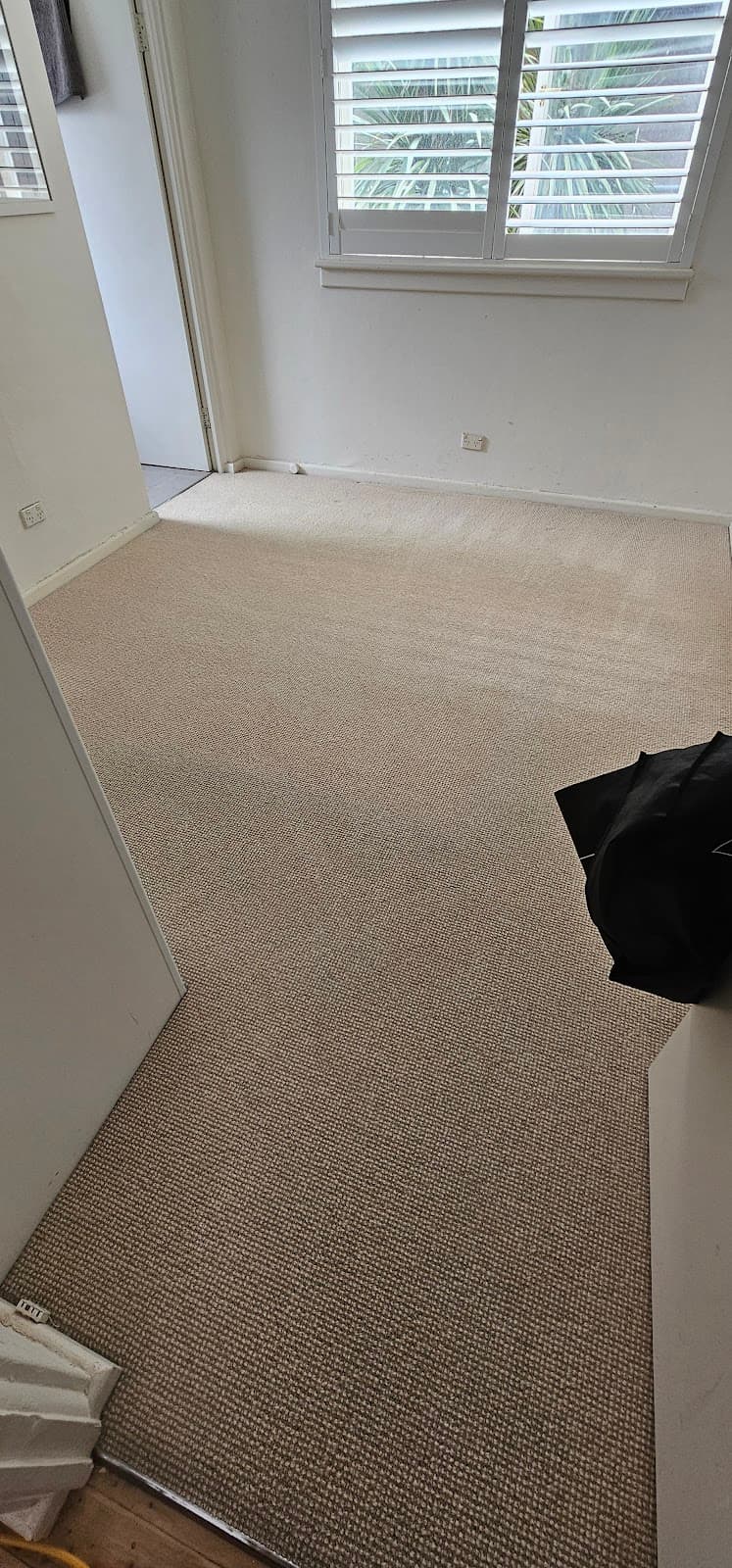 Cleantec Carpet Cleaning carpet cleaning work in North Sydney