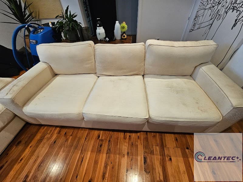Cleantec Carpet Cleaning carpet cleaning work in North Sydney