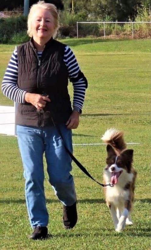 CLEAR Dog Training dog training work in Wynnum