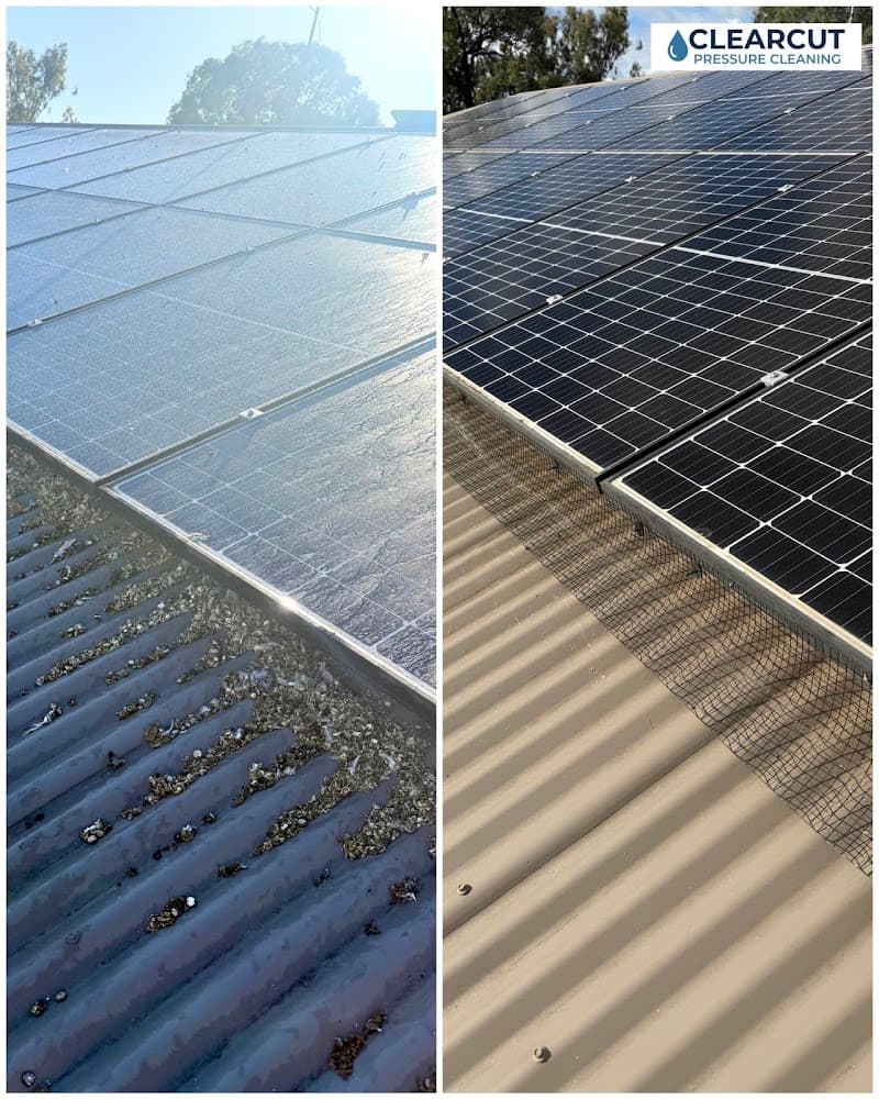 Clearcut Pressure Cleaning pressure washing work in Gowrie Junction