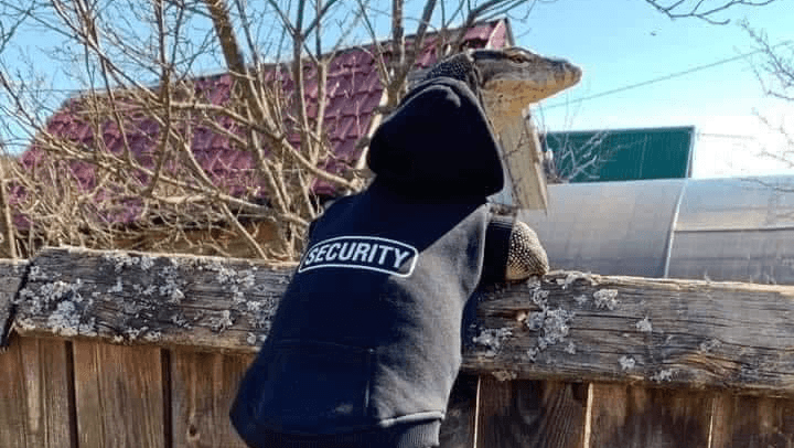 Clearskies Security & Data security & cctv work in null