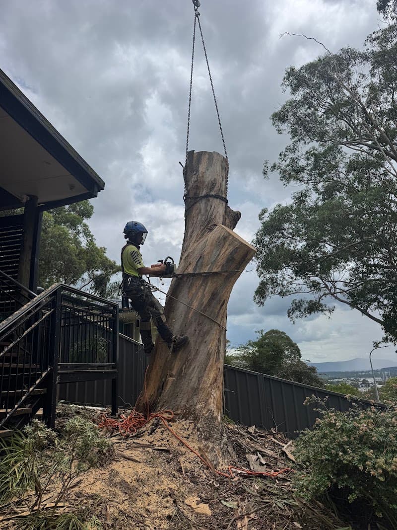 Clearview Tree Service tree services work in Eleebana