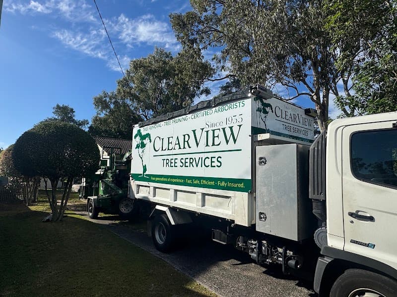 Clearview Tree Service tree services work in Eleebana
