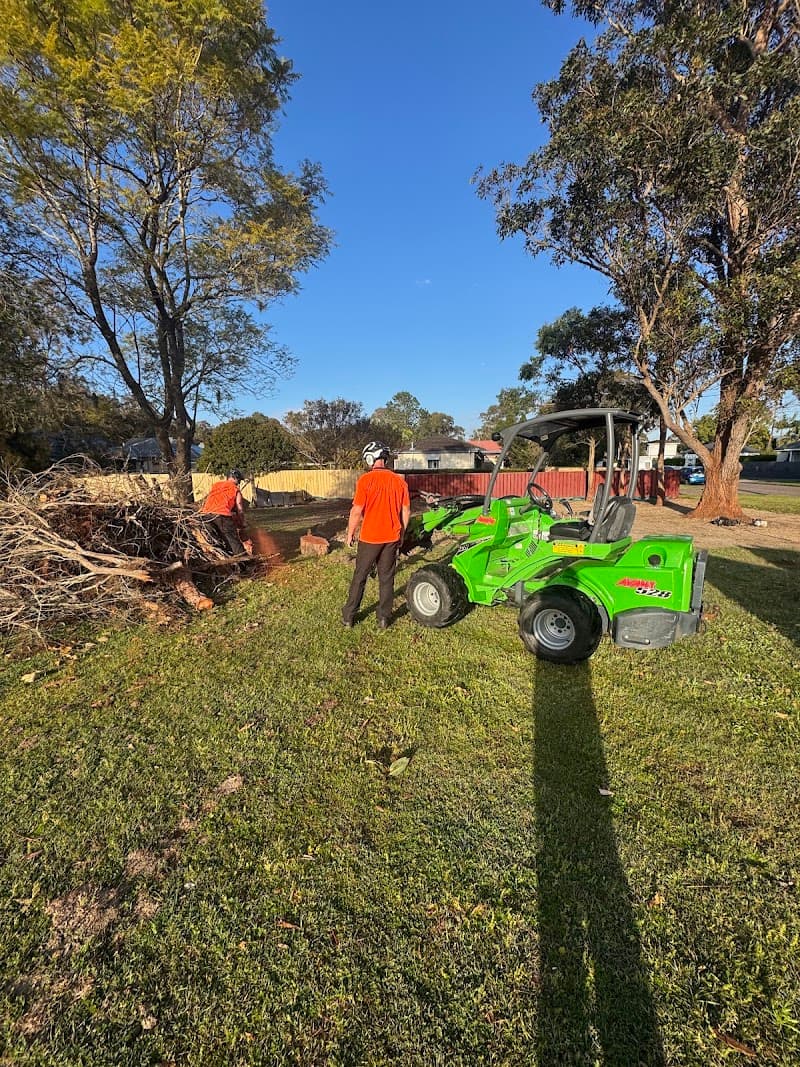 Clearview Tree Service tree services work in Eleebana