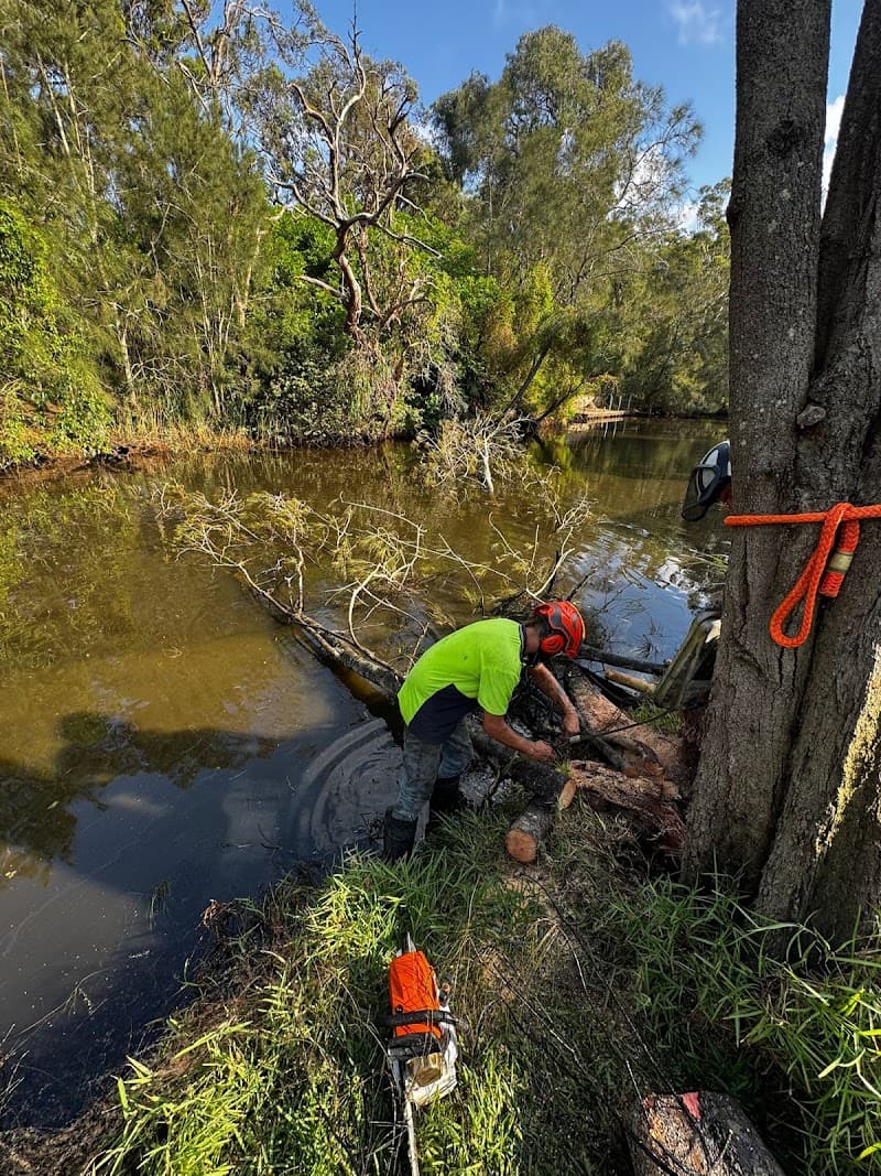 Clearview Tree Service tree services work in Eleebana