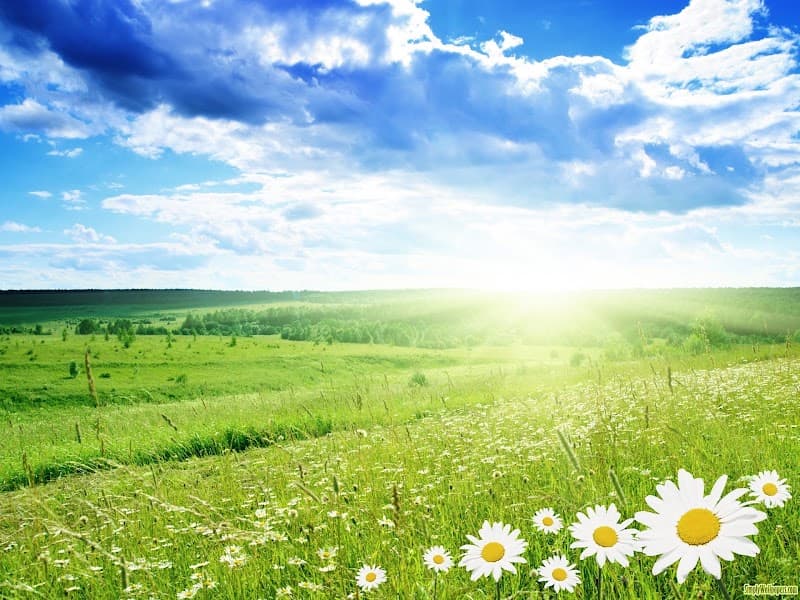 Climate Control Systems air conditioning work in Pialba