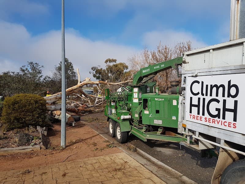 Climb High Tree Services tree services work in Watson