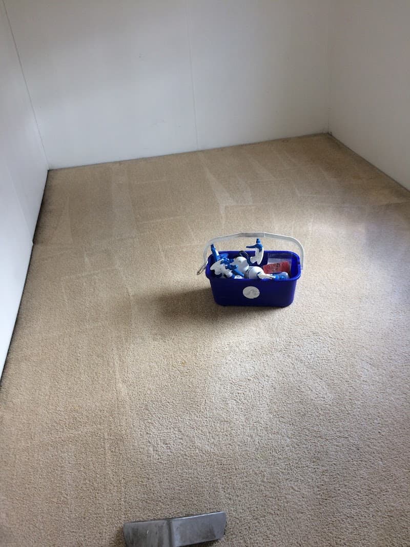 Coastal Carpet and Pest carpet cleaning work in Rosny