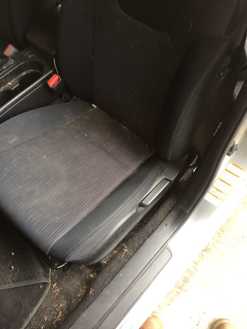 Coastal Carpet and Pest carpet cleaning work in Rosny