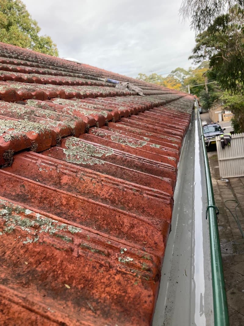 Coastal Gutter Cleaning gutter cleaning work in North Avoca