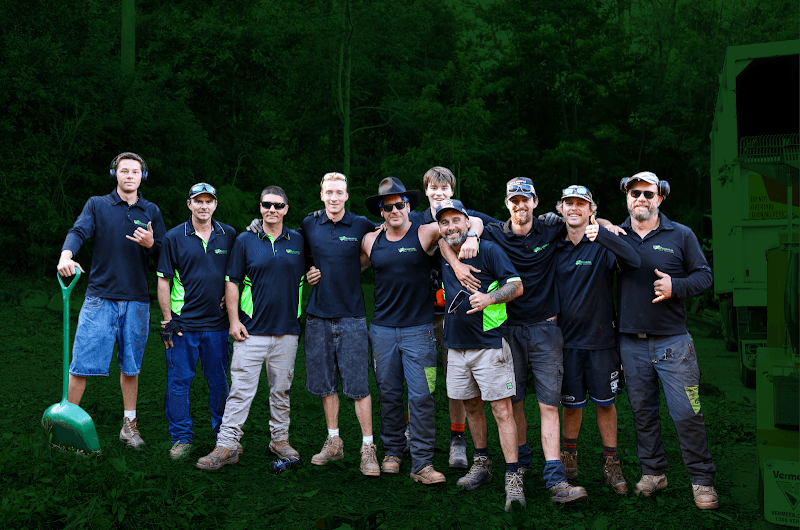 Coastal Lawn Solutions gardening work in Beerwah