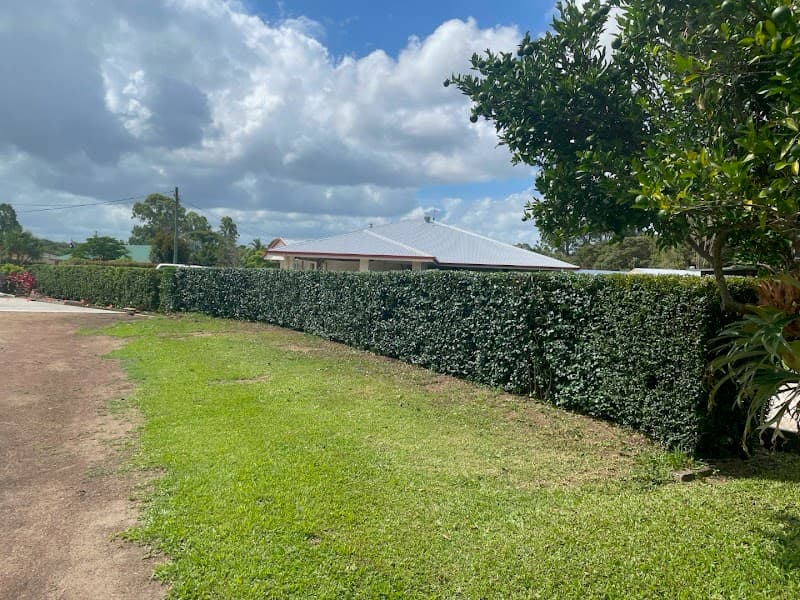 Coastal Lawn Solutions gardening work in Beerwah