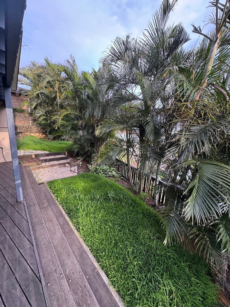 Coastal Tree Barber tree services work in Maroochydore