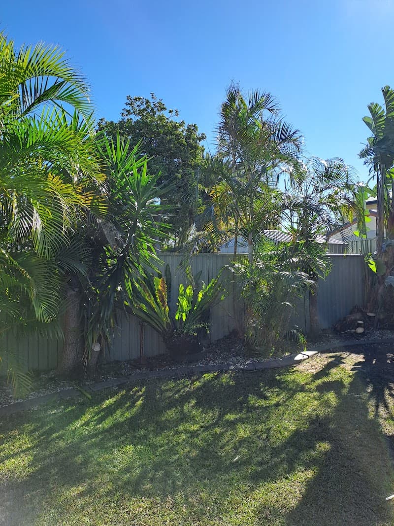 Coastal Trees tree services work in Chittaway Bay