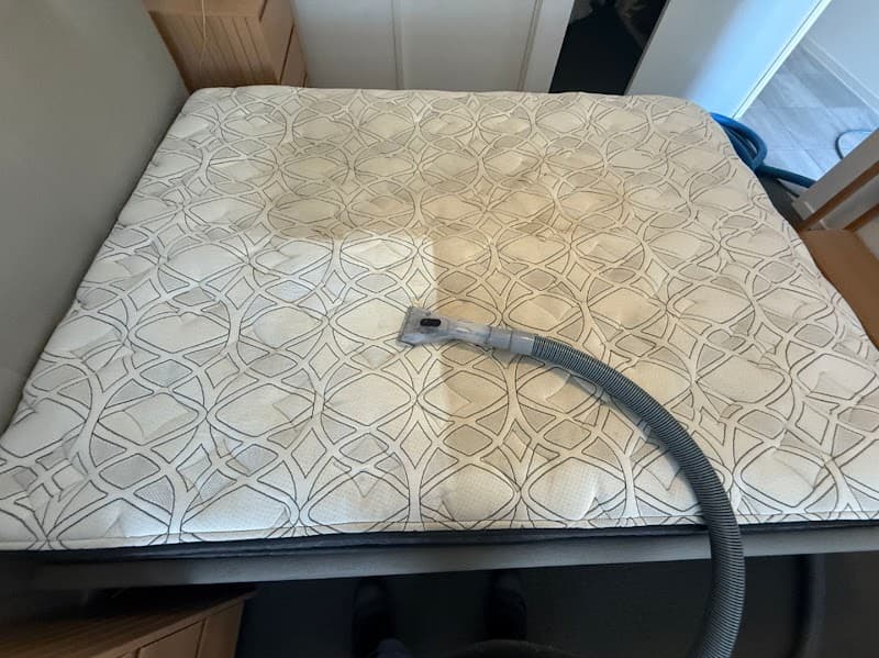 Coastwide Carpet, Tile & Upholstery Cleaning carpet cleaning work in Kincumber