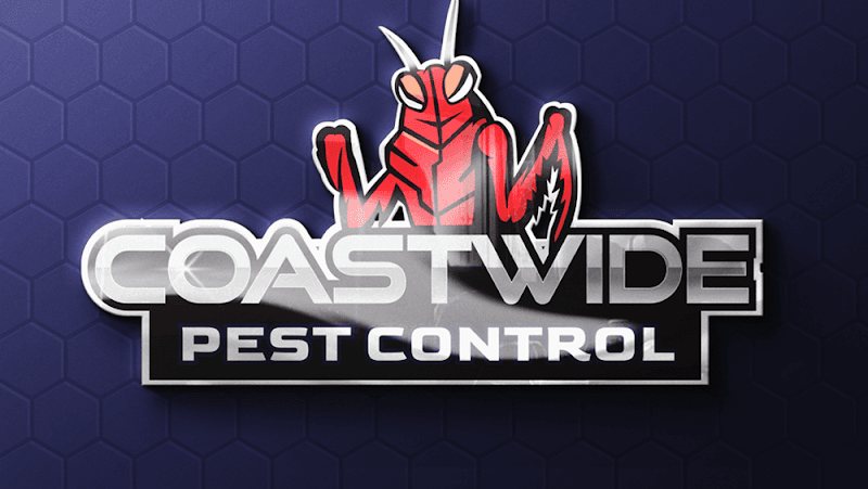 Coastwide Pest Control pest control work in Hamlyn Terrace