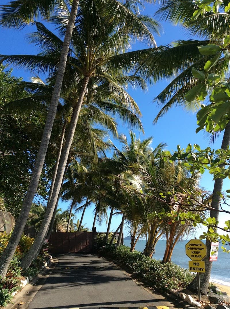 Coconut Dundee tree services work in Machans Beach