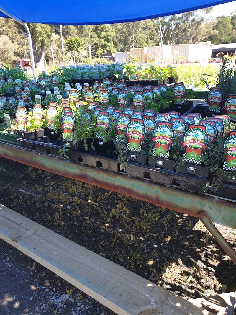 Coffs Harbour Nursery landscaping work in Sapphire Beach