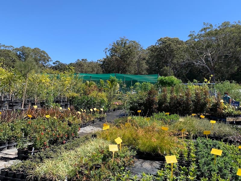 Coffs Harbour Nursery landscaping work in Sapphire Beach