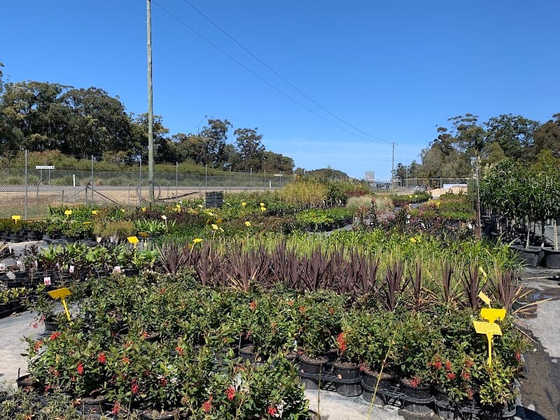 Coffs Harbour Nursery landscaping work in Sapphire Beach
