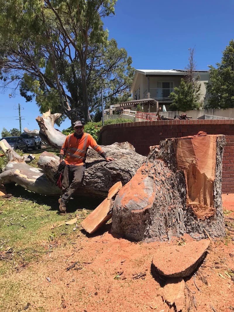 Colins Trees tree services work in Mullaloo