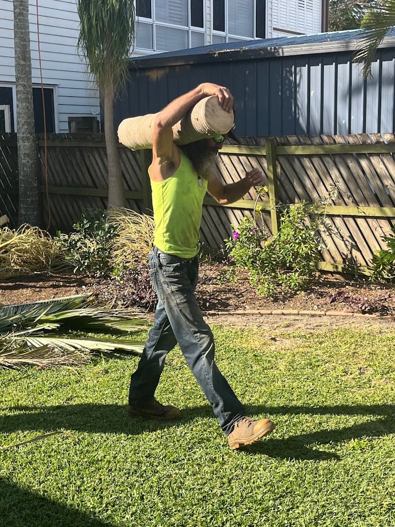 COLOURFUL TREE LOPPING STUMP GRINDING tree services work in Scarborough