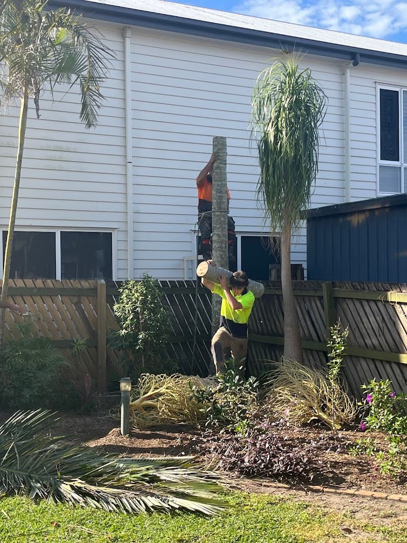 COLOURFUL TREE LOPPING STUMP GRINDING tree services work in Scarborough