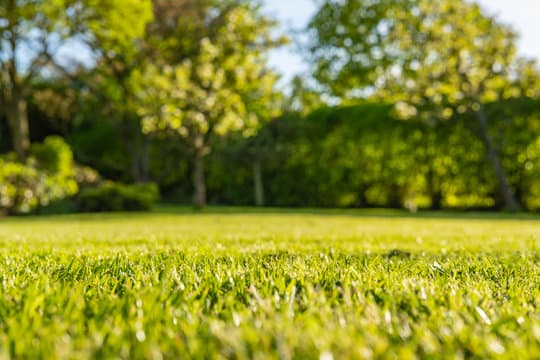 Colwyn's Lawn Maintenance lawn care work in Harcourt