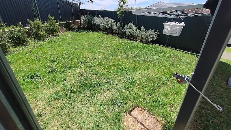 Colwyn's Lawn Maintenance lawn care work in Harcourt