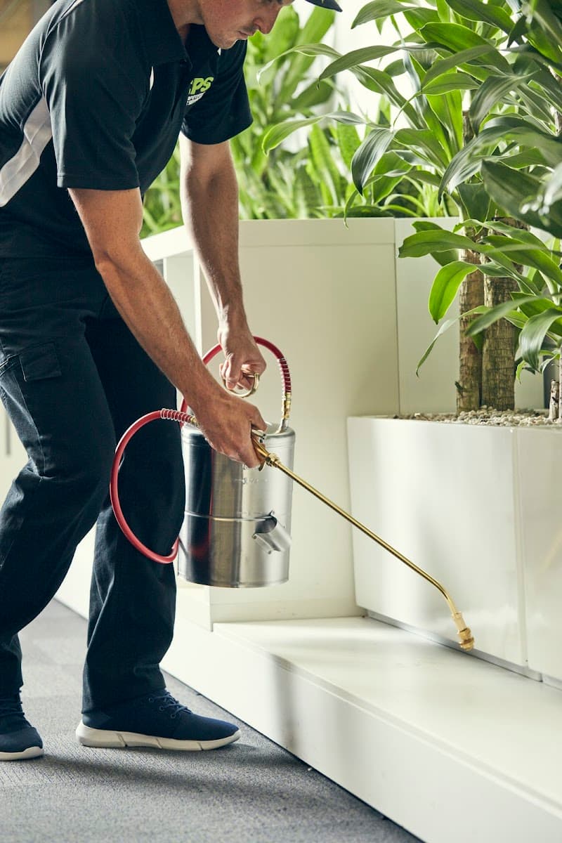 Competitive Pest Services pest control work in Sydney