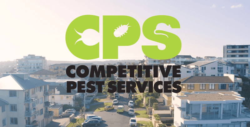 Competitive Pest Services pest control work in Sydney