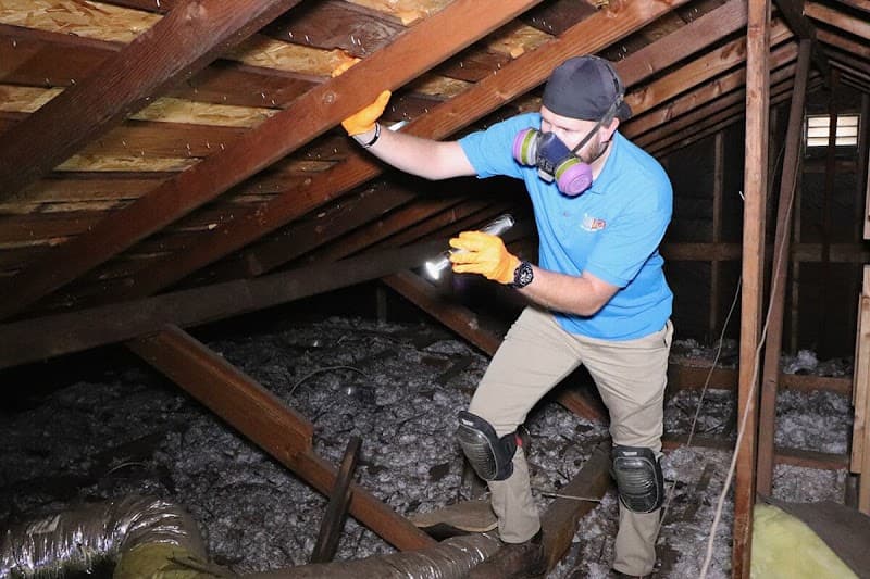 Complete Building & Pest Inspections Townsville pest control work in Kelso