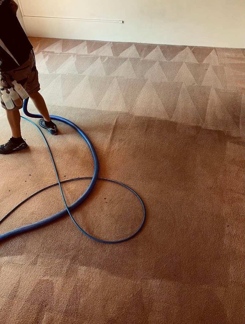 Complete Carpet & Upholstery Cleaning carpet cleaning work in Mermaid Waters