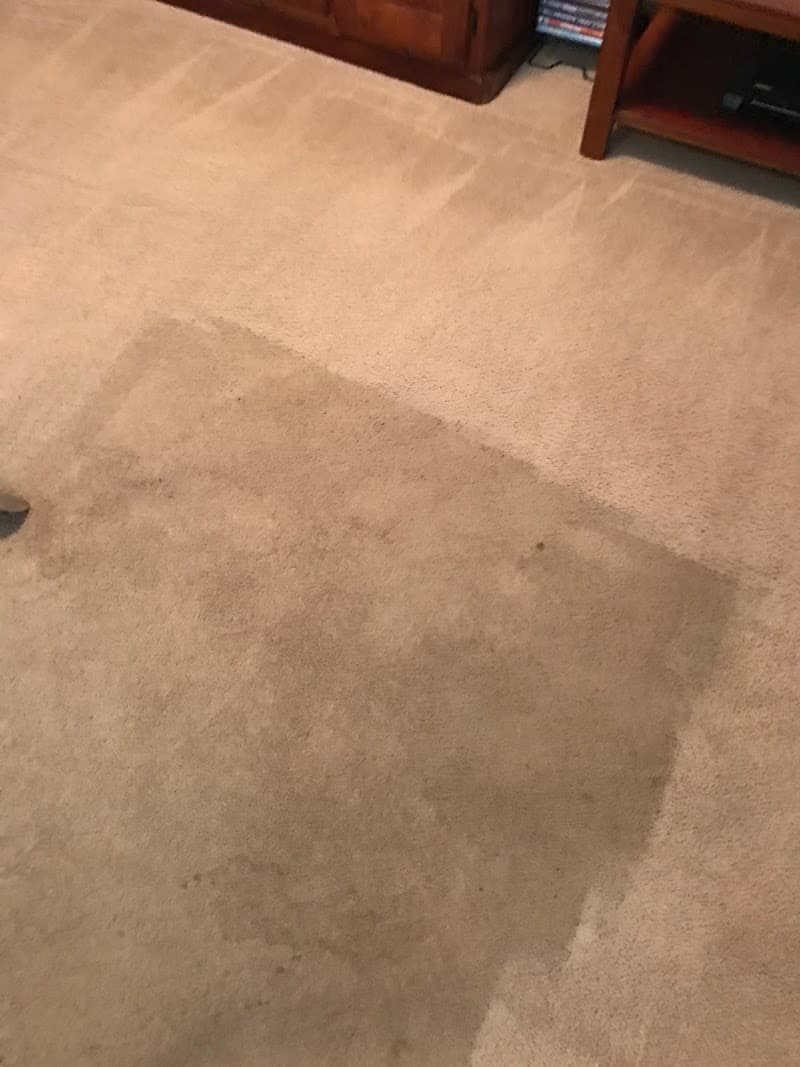 Complete Carpet & Upholstery Cleaning carpet cleaning work in Mermaid Waters