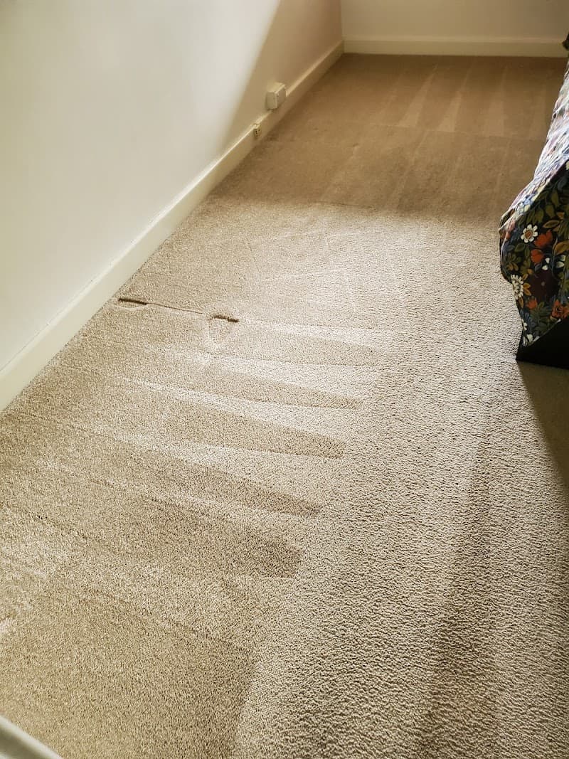 Complete Carpet Cleaners Adelaide carpet cleaning work in Kensington Gardens