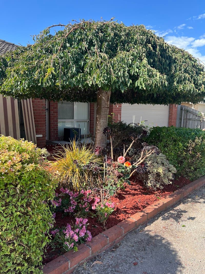 COMPLETE Garden Solutions gardening work in Hastings